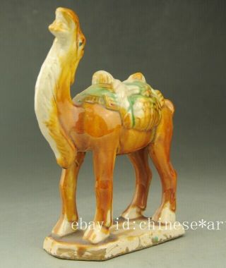 Old Chinese Dynasty Tang San Cai porcelain Auspicious camel Llama Statue b02 4