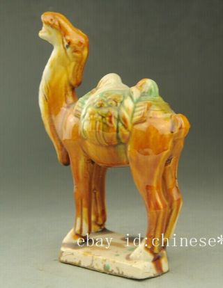 Old Chinese Dynasty Tang San Cai porcelain Auspicious camel Llama Statue b02 5