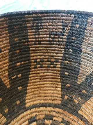 Antique Native American Basket Southwest Of USA.  16 Inches Diameter.  Circa 1870. 4