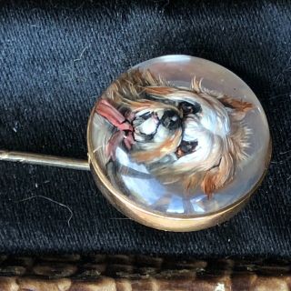 Antique Essex Crystal Intaglio Pin,  Cravat,  Yorkshire Terrier Dog Gold