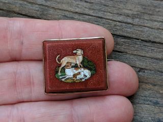 Victorian Micro Mosaic Petra Dura Spaniel Hound Dogs & Puppies Brooch 6