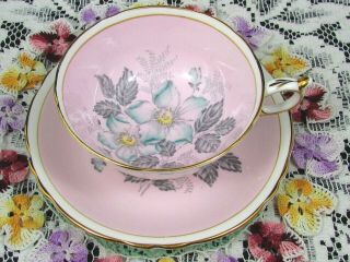 Paragon Aqua Blue Wild Rose Candy Pink Floral Tea Cup And Saucer