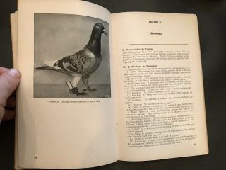 TM 11 - 410: The Homing Pigeon WWII 1945 Extremely Rare 7