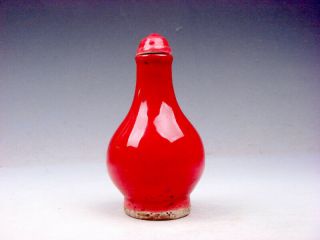 Vintage Monochrome Ox - Blood Red Glazed Porcelain Snuff Bottle 02211905