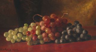 1903 Antique BENJAMIN CHAMPNEY American Fruit Grapes Stillife Oil Painting,  NR 3