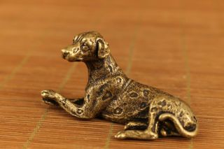 Chinese Bronze Hand Carving Dog Exquisite Statue Figure Table Home Decoration