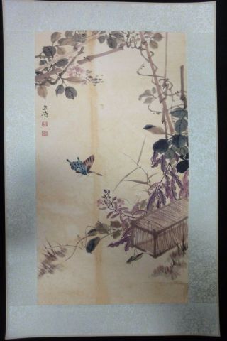 Chinese Old Large Paper Painting Plants And Insects " Wangxuetao " Marks