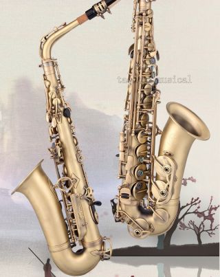 Professional Taishan 875 Antique Alto Eb Saxophone Sax W/case All Accessories