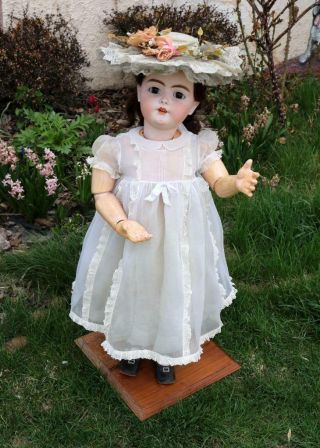 Massive 34 Inch Antique German Bisque Handwerck 79 Doll Large Child Size C.  1900