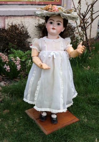 Massive 34 Inch Antique German Bisque Handwerck 79 Doll Large Child Size c.  1900 2