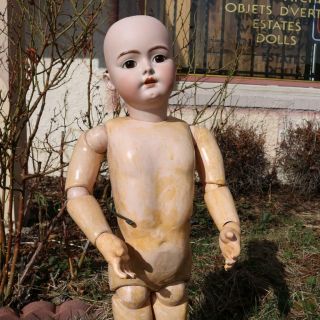 Massive 34 Inch Antique German Bisque Handwerck 79 Doll Large Child Size c.  1900 7