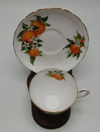 ROYAL TUSCAN FINE BONE CHINA TEACUP & SAUCER FLORIDA 3