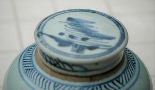 Antique 19c Chinese Blue & White Porcelain Ginger Jar,  Cover 5