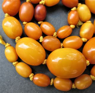 Antique Natural Butterscotch Egg Yolk Baltic Amber Beads Necklace 2