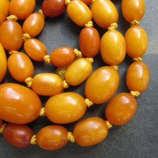 Antique Natural Butterscotch Egg Yolk Baltic Amber Beads Necklace 4