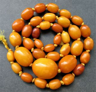 Antique Natural Butterscotch Egg Yolk Baltic Amber Beads Necklace 6
