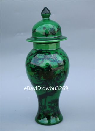 Chinese Porcelain Hand Painting Flowers & Bird Vase W Qianlong Marks