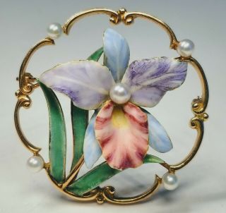 Antique 1920s 14k Gold And Hand - Painted Enamel Floral Pin Brooch With 5 Pearls