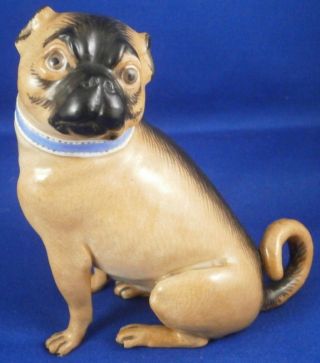 Antique 19thc Meissen Porcelain Pug Dog Figurine Figure Porzellan Mops Hund