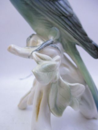 VINTAGE KARL ENS GERMANY PORCELAIN PARAKEET BIRD FIGURINE - 6.  5 