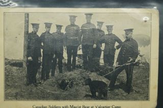 Ww1 Canadian Cef Souvenir Paper Soldiers With Bear Cub Postcard.