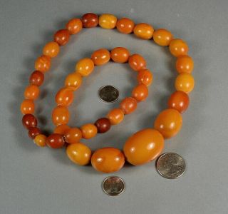 Vintage 101.  6 GRAMS Butterscotch Egg Yolk Natural Baltic AMBER Bead Necklace 26 