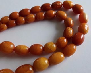 Antique Vintage Rare Baltic Amber 1920 c Olive Beads Necklace 10
