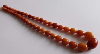 Antique Vintage Rare Baltic Amber 1920 c Olive Beads Necklace 11