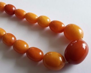 Antique Vintage Rare Baltic Amber 1920 c Olive Beads Necklace 12