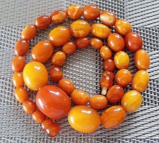 Antique Vintage Rare Baltic Amber 1920 C Olive Beads Necklace