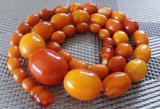 Antique Vintage Rare Baltic Amber 1920 c Olive Beads Necklace 2
