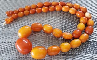 Antique Vintage Rare Baltic Amber 1920 c Olive Beads Necklace 3