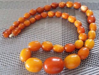 Antique Vintage Rare Baltic Amber 1920 c Olive Beads Necklace 4