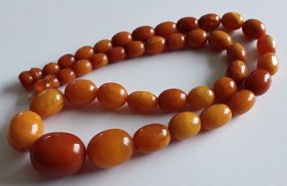 Antique Vintage Rare Baltic Amber 1920 c Olive Beads Necklace 5