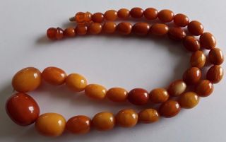Antique Vintage Rare Baltic Amber 1920 c Olive Beads Necklace 6