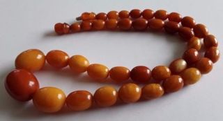 Antique Vintage Rare Baltic Amber 1920 c Olive Beads Necklace 8