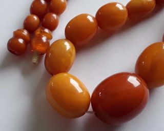 Antique Vintage Rare Baltic Amber 1920 c Olive Beads Necklace 9