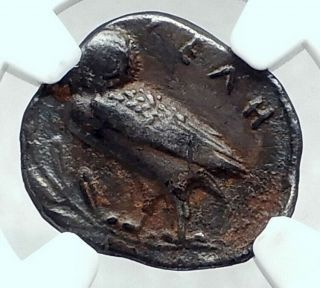Velia In Lucania Authentic Ancient 440bc Silver Greek Coin Nymph Owl Ngc I78064