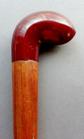 Antique Art Deco Red Cherry Amber Bakelite Handled Malacca Cane Walking Stick