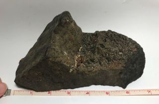 Ancient RARE 7” Iron Meteorite Archaeologist Specimen 3LB 12OZ 10
