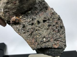 Ancient RARE 7” Iron Meteorite Archaeologist Specimen 3LB 12OZ 3