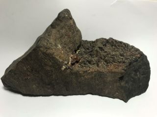 Ancient RARE 7” Iron Meteorite Archaeologist Specimen 3LB 12OZ 5