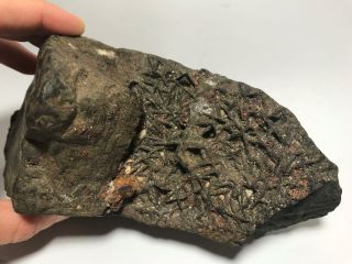 Ancient RARE 7” Iron Meteorite Archaeologist Specimen 3LB 12OZ 6