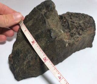 Ancient RARE 7” Iron Meteorite Archaeologist Specimen 3LB 12OZ 9