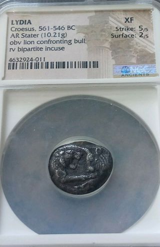 Lydia Croesus Stater Lion Vs Bull Ngc Xf 5/2 Ancient Silver Coin