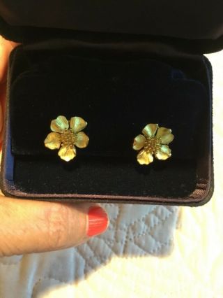 Vintage Tiffany 18k Yellow Gold Dogwood Wild Rose Clip On Earrings Very Rare