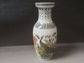 Chinese Old Porcelain Vase Painted Flower And Bird Vase