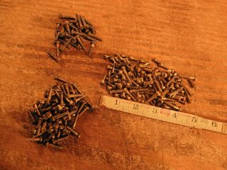 Antique wood screws vintage brass round head fastener 3/4 in.  X 8 QTY.  247 2