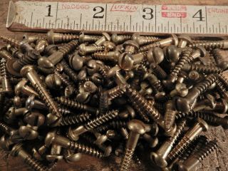 Antique wood screws vintage brass round head fastener 3/4 in.  X 8 QTY.  247 3