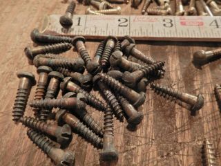 Antique wood screws vintage brass round head fastener 3/4 in.  X 8 QTY.  247 5